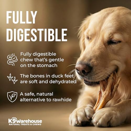 K9warehouse Duck Feet for Dogs – High Protein Dehydrated Dog Treats, Natural Crunchy Chews with Collagen, Glucosamine & Chondroitin for Joint & Hip Health, Dental Care, Small to Large Breeds (10 pcs)