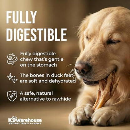 K9warehouse Duck Feet for Dogs – High Protein Dehydrated Dog Treats, Natural Crunchy Chews with Collagen, Glucosamine & Chondroitin for Joint & Hip Health, Dental Care, Small to Large Breeds (10 pcs)