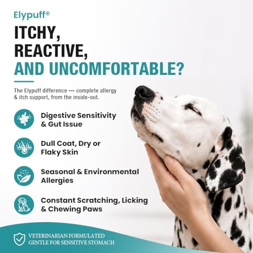 Dog Allergy Chews 260ct - Value Size Dog Allergy and Itching Skin Relief Anti Itch Aller Immune Bites for Dogs Licking Paws Treatment - Probiotics Vitamins for Itchy Skin, Ears & Yeast, Chicken Flavor