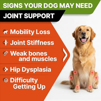 STRELLALAB Advanced Glucosamine for Dogs, Chondroitin MSM Joint Supplement