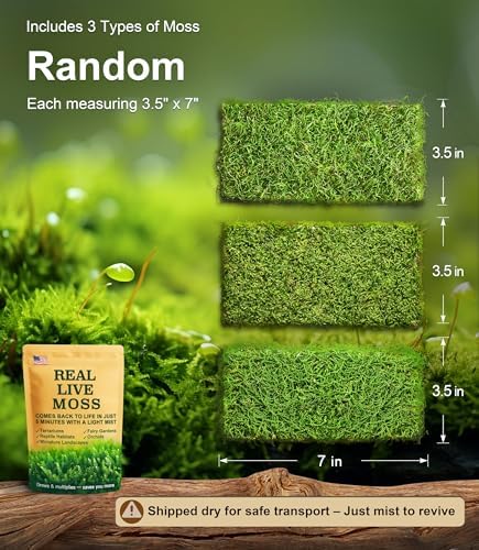 LUCKYRUNES Live Moss 3-Pack for Reptile Enclosures & Terrariums,Fresh Reptiles Substrate