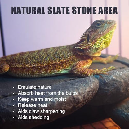 Large Bearded Dragon Basking Platform, Lizard, Snake or Reptile Hide with Heat Storage Slate Stone, 12.6x7x3.5 inch Oversized Gecko Hide Cave