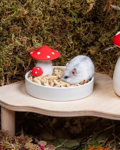 Niteangel Small Animal Snack & Treats - Freeze-Dried Worms & No Additive