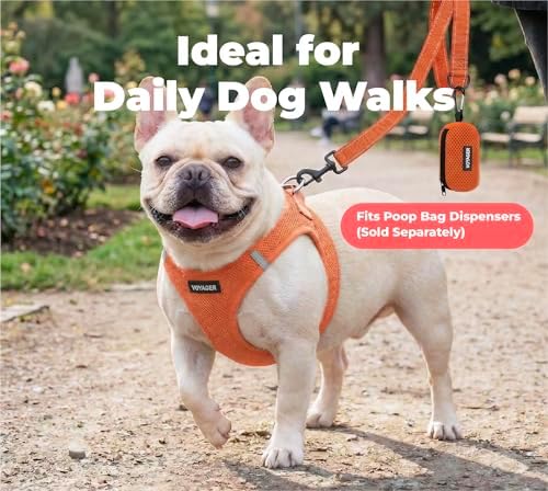Best Pet Supplies Voyager Nylon Dog Leash - Orange, Small