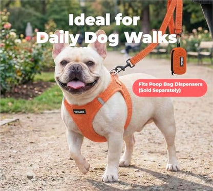 Best Pet Supplies Voyager Nylon Dog Leash - Orange, Small
