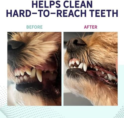 Health Extension Peanut Butter Dental Bones for Dogs, 8 Medium Bones, Healthy Gums, Freshens Breath, Cleans Teeth, Training or Reward, 6 oz Bag (Pack of 1)