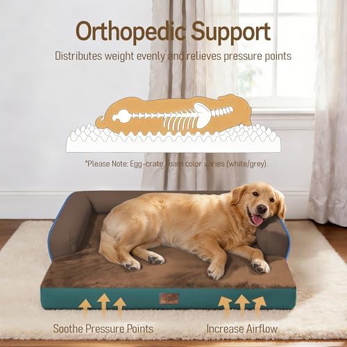 Comfort Expression Orthopedic XL Dog Bed for Large and Extra Large Dogs