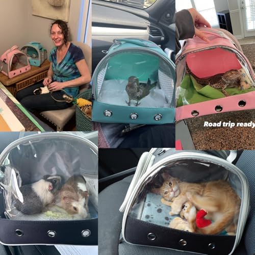 Guinea Pig Carrier Backpack, Clear Bubble Window Backpack for Guinea Pig, Bunny Rat Bird (Blue, Carrier)