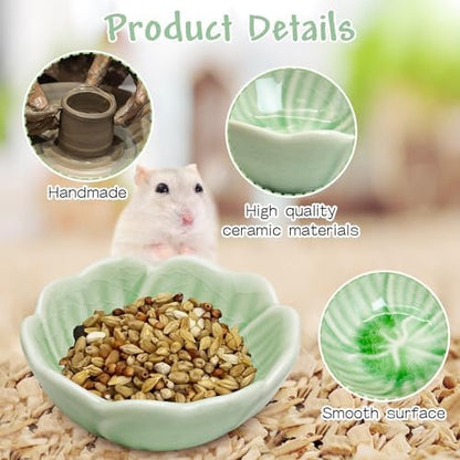 BNOSDM 2 Pcs Hamster Ceramic Food Bowl Flower Series Gerbil Drinking Bowls Anti-Turning Food & Water Dish for Dwarf Syrian Hamsters Gerbil Chinchilla（Green, Narcissus Pattern）