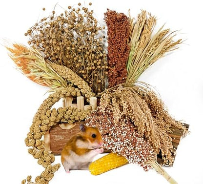 Natural Hamster Flower & Herb Habitat Deocr, Hamster Sprays Herbs Bedding Mate, Hamsters Cage Enrichment Decoration Accessories for Gerbil Dwarf Syrian Hamsters Mouse Guinea Pig Mice or Small Animals