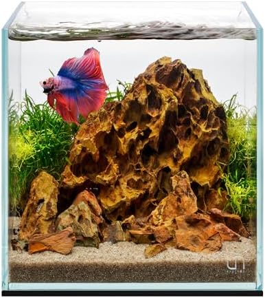 UNS Ultra Clear Rimless Tank - 2.1GAL | 8L - 7.87x7.87x7.87 | 20x20x20 CM, 5mm Glass Thickness, Leveling Mat Included - Low Iron, High Clarity Fish Tank w/ 45° Mitered Edge - [20C]