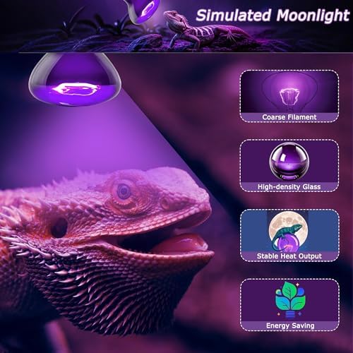 Reptile Moonlight Bulb, 75W Gentle Night Light for Terrariums
