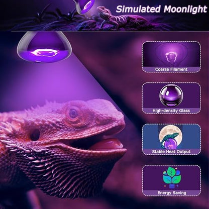 Reptile Moonlight Bulb, 75W Gentle Night Light for Terrariums