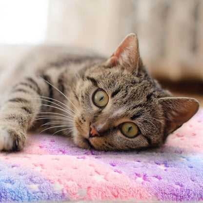 2 Pack Cat Blanket for Indoor Cat, Warm Calming Kitten Beds