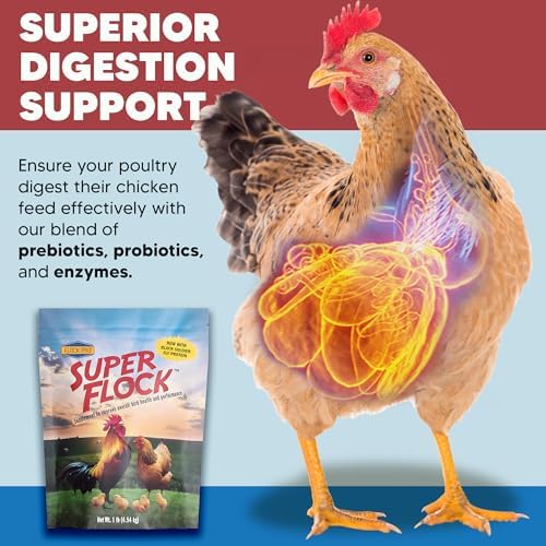 Super Flock Pro Boost Probiotic - Probiotics, Vitamins, Minerals and Electrolytes for Chickens | Chicken Vitamins and Supplements for All Poultry + 1lb