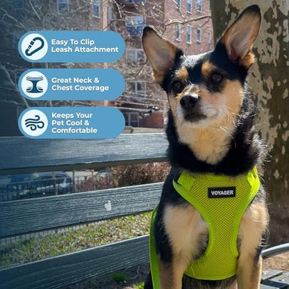 Voyager Step-in Lock Dog Harness - Lime Green, X-Small