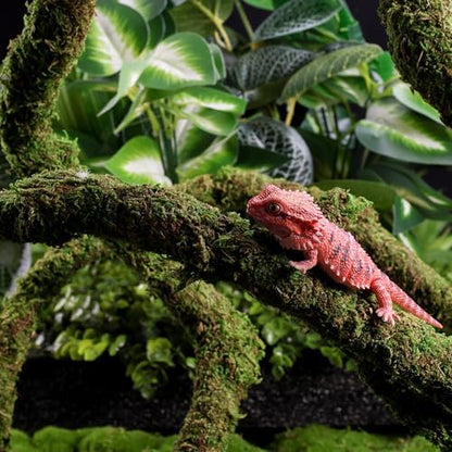 USMOLA Moss Vine for Reptiles, Bendable Climbing Vines Reptile Tank Accessories, Natural Moss Rope for Leopard Gecko, Lizard, Snake, Chameleon, Frog Terrarium Decor (Jungle Green, 9.8 FT)