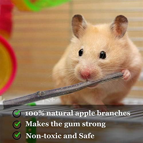 ANDES Natural Apple Sticks, Molar Chew Toys for Rabbit Bunny18oz(500g)