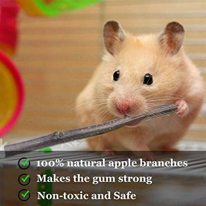 ANDES Natural Apple Sticks, Molar Chew Toys for Rabbit Bunny18oz(500g)