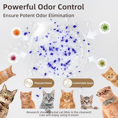 LaSyL Crystal Cat Litter for Multi-Cat Households - Silica Gel, 30-Day Odor Control, 99.9% Dust-Free Non-Clumping Low Tracking Lightweight Unscented Formula 17.2 lb (4 Bags x 4.3lb)