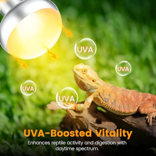 REPTITRIP Dual Reptile Lamp Fixture with 100W Daytime Heat & 100W Nighttime Infrared Heat Bulbs, 2 Independent Switches, Reptile Heat Lamp Combo Pack - No UVB