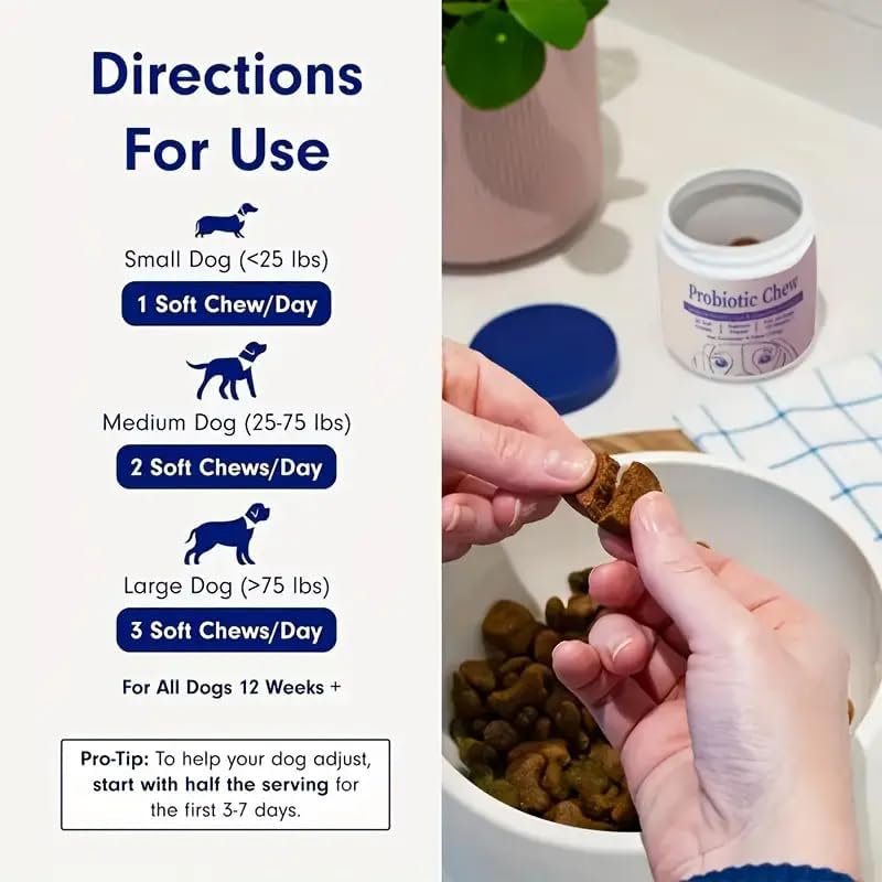 Dog Probiotics - Pet Digestive and Immune Supplement - Suitable for All Dog Breeds - Salmon Favor - 4.32 Ounces - 30 Tablets