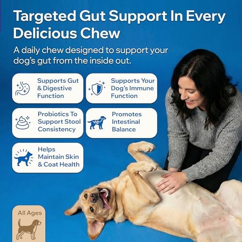 Dog Probiotics For Gut Health, Digestive Health, Sensitive Stomach, Diarrhea, Immunity, Skin/Coat - Probiotics Prebiotics for Dogs - Digestive Enzymes for Gut Flora - Constipation & Gas Relief for Dog