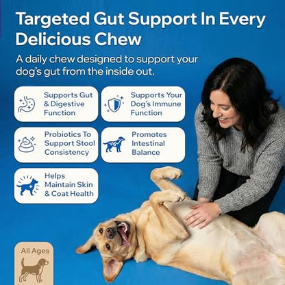 Dog Probiotics For Gut Health, Digestive Health, Sensitive Stomach, Diarrhea, Immunity, Skin/Coat - Probiotics Prebiotics for Dogs - Digestive Enzymes for Gut Flora - Constipation & Gas Relief for Dog