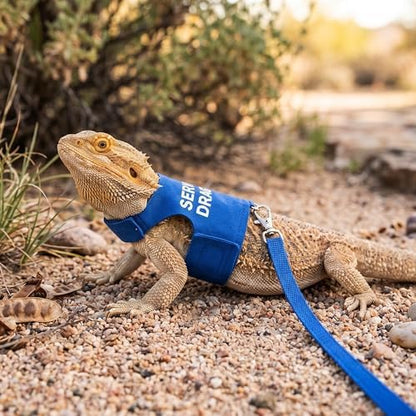 Bearded Dragon Harness and Leash Set, Escape Proof Reptile Vest