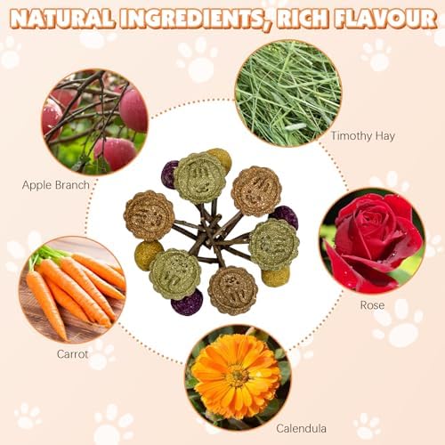 Fhiny Rabbit Chew Toys, 15 PCS Natural Bunny Lollipop Chew Sticks Handmade Guinea Pig Molar Treats for Teeth Small Animals Snacks for Guinea Pig Bunny Chinchilla Hamster Gerbil Teeth Care