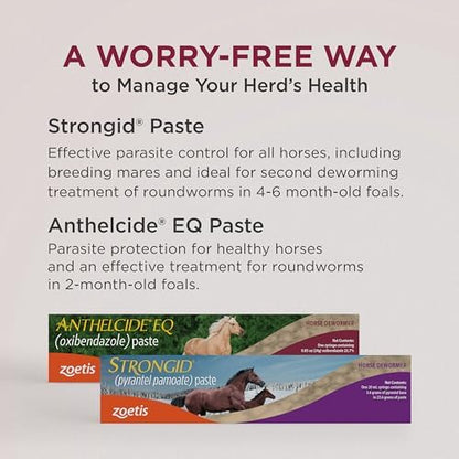 Strongid (pyrantel pamoate) Paste Dewormer for Horses, 20 mL Syringe