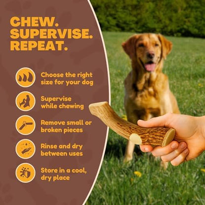 WhiteTail Naturals Whole Deer Antler Chew for Large Dogs - 7"