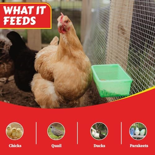 My Favorite Chicken 27oz Chicken Cage Cup – Hanging Chicken Waterer & Feeder for Chick, Duck, Quail, Parakeet – Versatile Poultry Feeder & Bird Cage Water Cups, Green