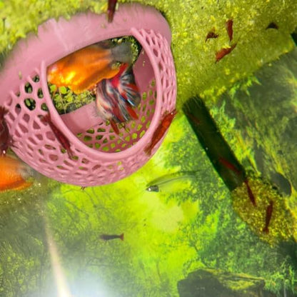 Aquarium Floating Betta Fish Skins, Betta or Shrimp Feeder, Cave and Hammock, Small Fish Feeding Rings, Aquarium Hiding Feeding Decorative Accessories (Light Pink)