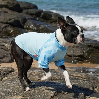 KYEESE 2Pack UPF50+ Dog Shirt for Small Dogs Cooling UV Protection Tank Top