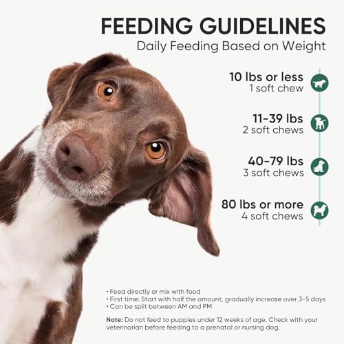 Probiotics for Dogs Gut Digestive Health Probiotic Chews 200 Ct Pork