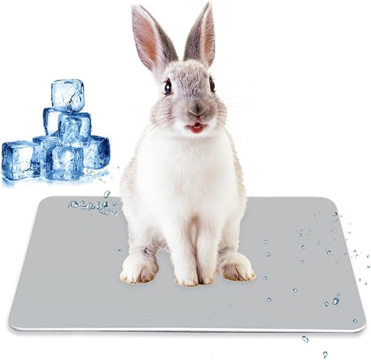 Aluminum Pet Cooling Pad for Bunny, Cat, Rabbit, Hamster, Guinea Pig and Other Small Pets, 11.8" X 7.9" Summer Animal Cool Mat Plate Ice Bed Cage Accessories