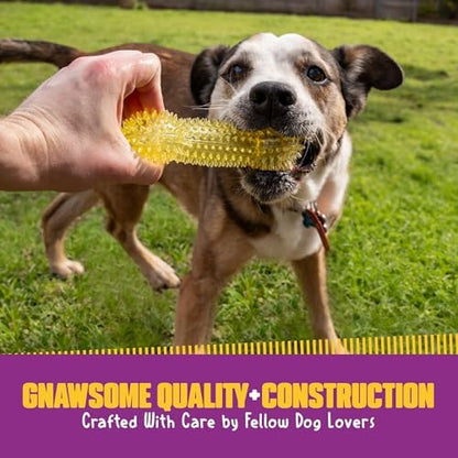 Gnawsome Dog Toys - 6.5” Spiky Squeaker Bone - Medium - Dental & Gum Wellness - Stimulating Fun - Hidden Squeaker - Durable for Heavy Chewers - 100% BPA-Free - Assorted Colors (Pack of 2)
