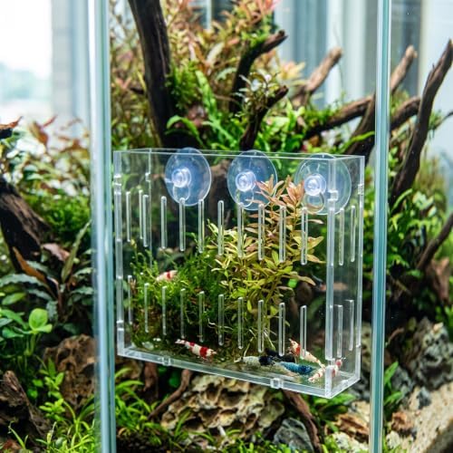 Aquarium Plant Grass Cup Transparent Water Plant Growing Holder, Acrylic Fish Water Plants Planter Grass Container with Suction Cups, Decorative Aquarium Plant Grass Cup