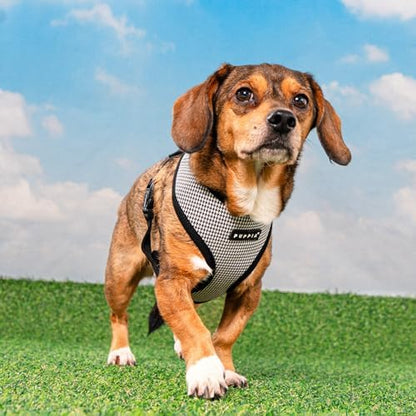 Puppia Amatus Dog Harness A (Over-The-Head) Fashionable Houndstooth Pattern Spring Summer Harness for Small and Medium Dogs, Black, Large