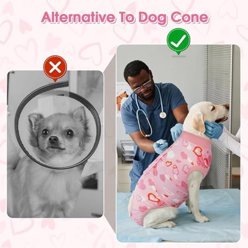 Kuoser Recovery Suit for Dogs After Surgery, Female Dog Onesie for Surgery