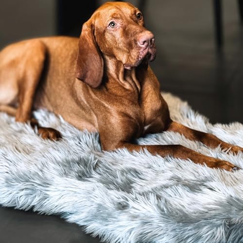 IHAPPYDOG Faux Fur Orthopedic Dog Bed, Memory Foam, Grey 40"x25"