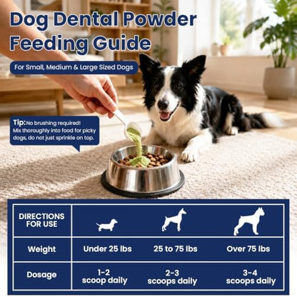 Dental Powder for Dogs Teeth Fresh Breath and Teeth Cleaning Contains Natural Ingredients and Probiotics Dental Powder Dog Tartar and Plaque Removes Tooth Cleaner for Dogs 120g (60-Day Supply)