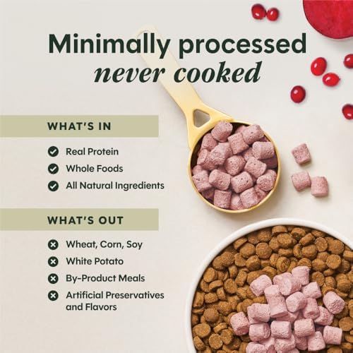 Instinct Freeze Dried Mixers, Dog Food Toppers, Gut Health + Skin & Coat Health Bundle, 5.5 oz.