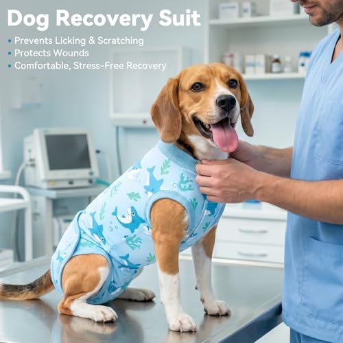 cyeollo Dog Surgery Recovery Suit, Surgical Onesie for Female & Male Dogs