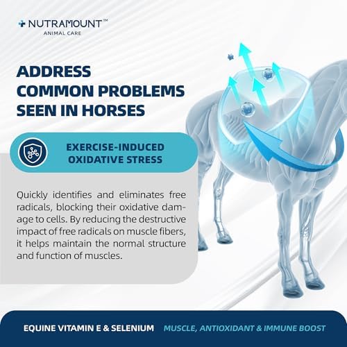 Horse Vitamin E & Selenium Supplement Powder – Natural Vitamin E 24% & Yeast Selenium – Daily Equine Antioxidant & Muscle Support – 100 Day Supply