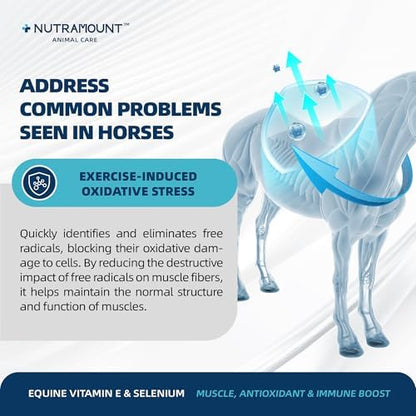 Horse Vitamin E & Selenium Supplement Powder – Natural Vitamin E 24% & Yeast Selenium – Daily Equine Antioxidant & Muscle Support – 100 Day Supply