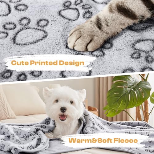 Luciphia Dog Blanket 3 Pack, Soft Cozy Fleece Throw for Puppy Cat,30"x20"