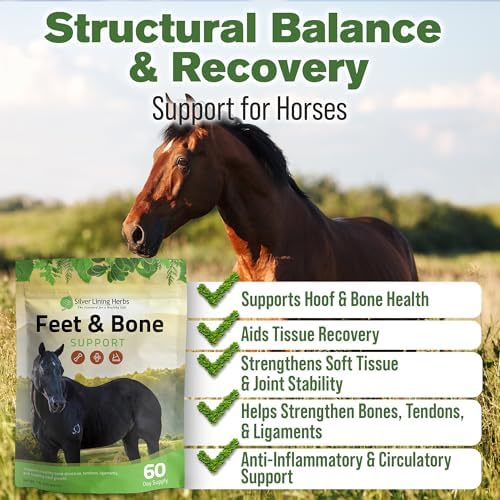 Silver Lining Herbs Feet & Bone Horse Hoof Supplements, Tendons
