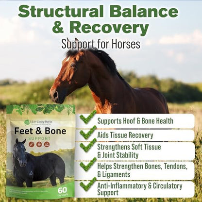 Silver Lining Herbs Feet & Bone Horse Hoof Supplements, Tendons